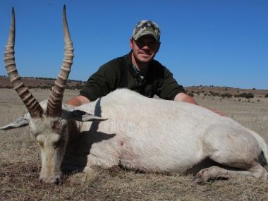 Blesbuck-hunting06-th.jpg