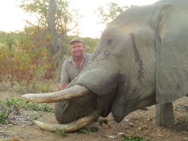 Elephant-hunting02-th.jpg