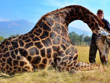 Giraffe-hunting02-th.jpg