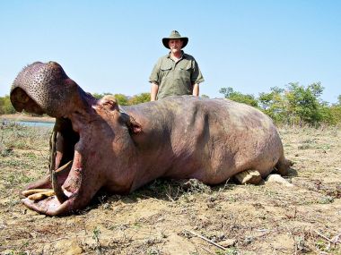 Hippo-hunting01-th.jpg