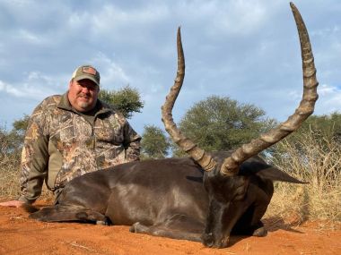 Impala-hunting15-th.jpg