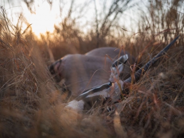 LikhuluHuntingSafarisScenes-011-th.jpg