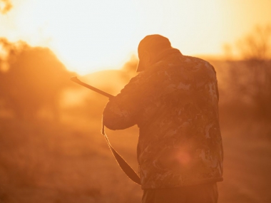 Scenes from the Hunting Area