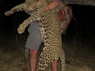 leopard-hunting01-th.jpg