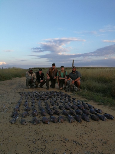 likhulu-wingshooting46-th.jpg