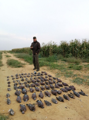 likhulu-wingshooting47-th.jpg