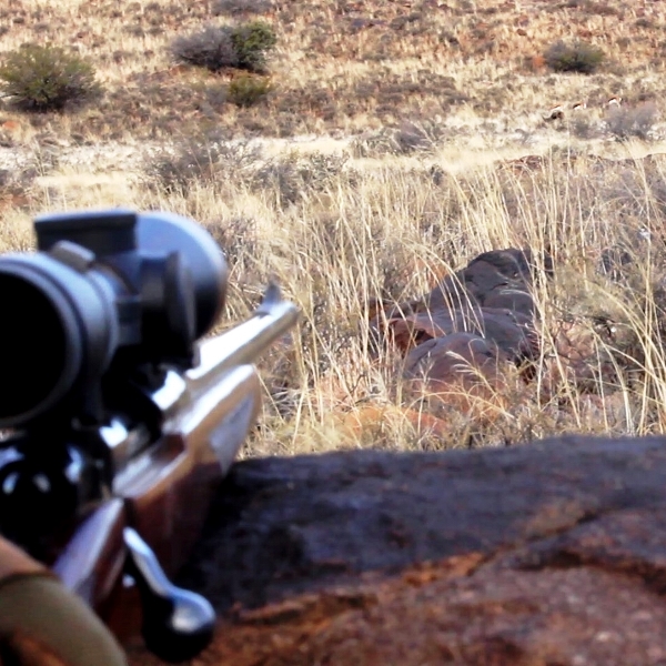 Hunting Safari in South Africa with Likhulu Safaris